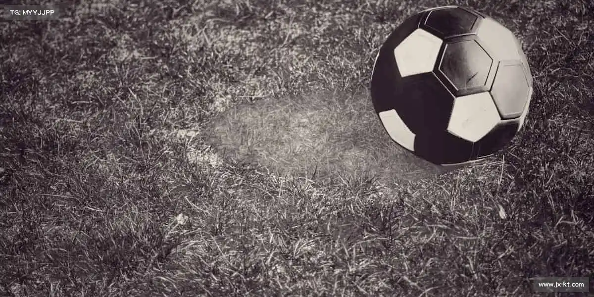 mk体育平台🏆挑战极限,让世界看见你的光芒!